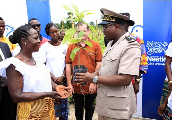 La société NESTLÉ distribue un million de plants de cacao aux producteurs de Côte d’Ivoire